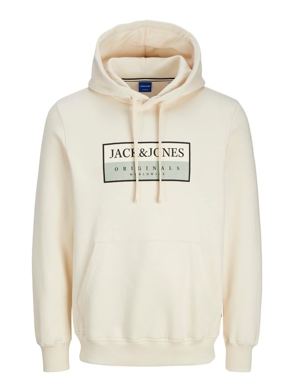 JACK & JONES JACK & JONES Sweater majica 'JORFREDERIKSBERG'  pastelno zelena / crna / vuneno bijela