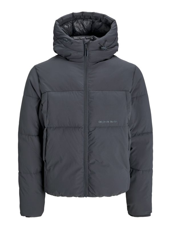JACK & JONES JACK & JONES Zimska jakna 'JORVESTERBRO'  tamo siva