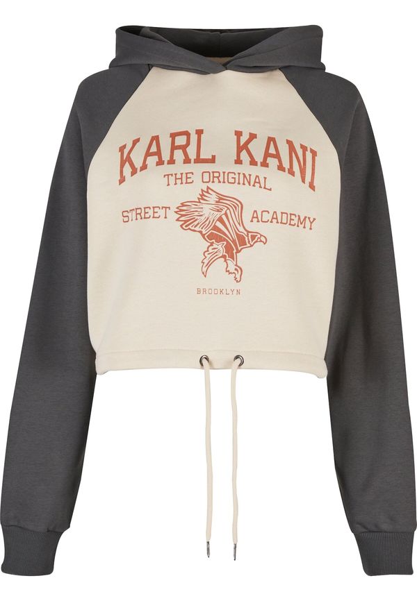 Karl Kani Karl Kani Sweater majica 'Street Academy'  pijesak / sivkasto plava / hrđavo crvena