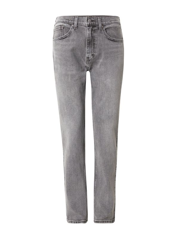 LEVI'S ® LEVI'S ® Traperice '505  Regular'  sivi traper