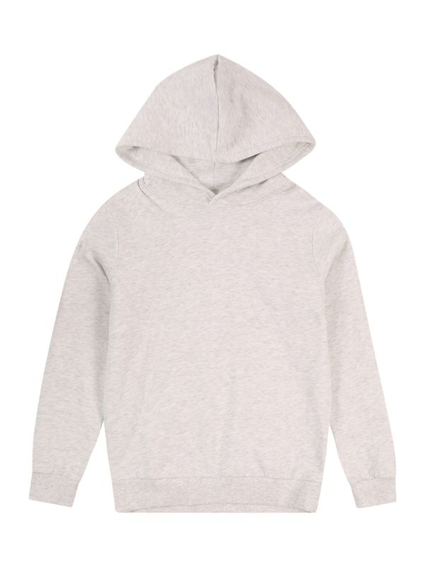 LMTD LMTD Sweater majica 'NLNNIZU'  svijetlosiva