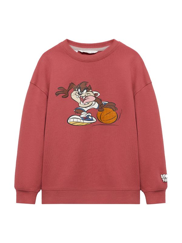 MANGO KIDS MANGO KIDS Sweater majica 'TAZLT'  smeđa / lubenica roza / crna / bijela