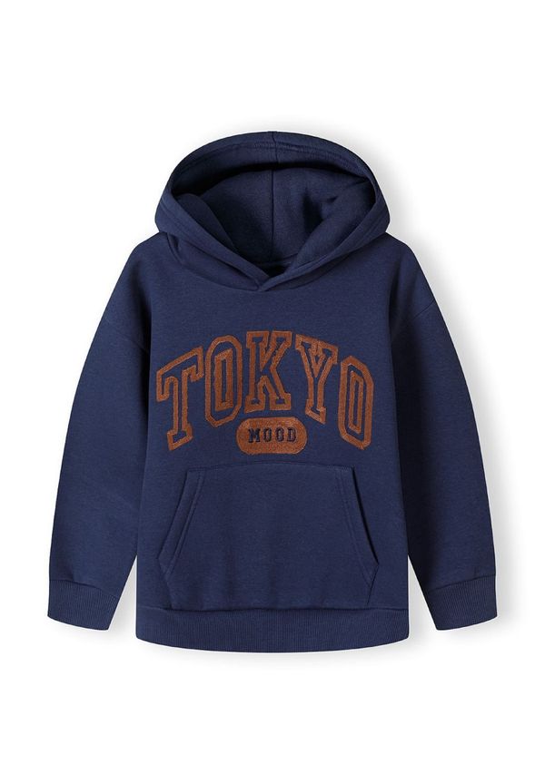 MINOTI MINOTI Sweater majica  morsko plava / višnja