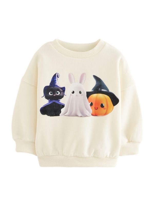 Next Next Sweater majica  boja pijeska / miks boja