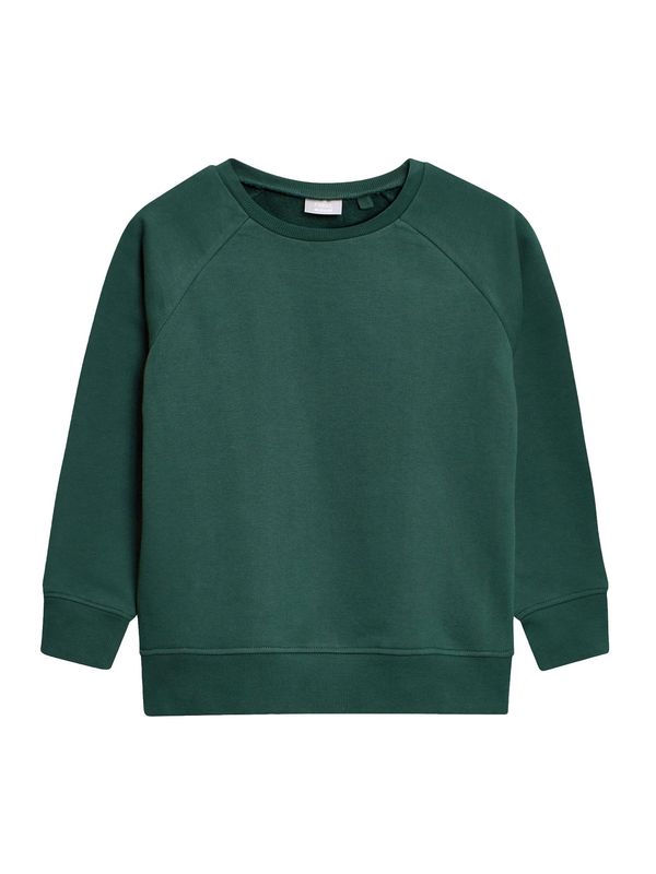 Next Next Sweater majica  tamno zelena