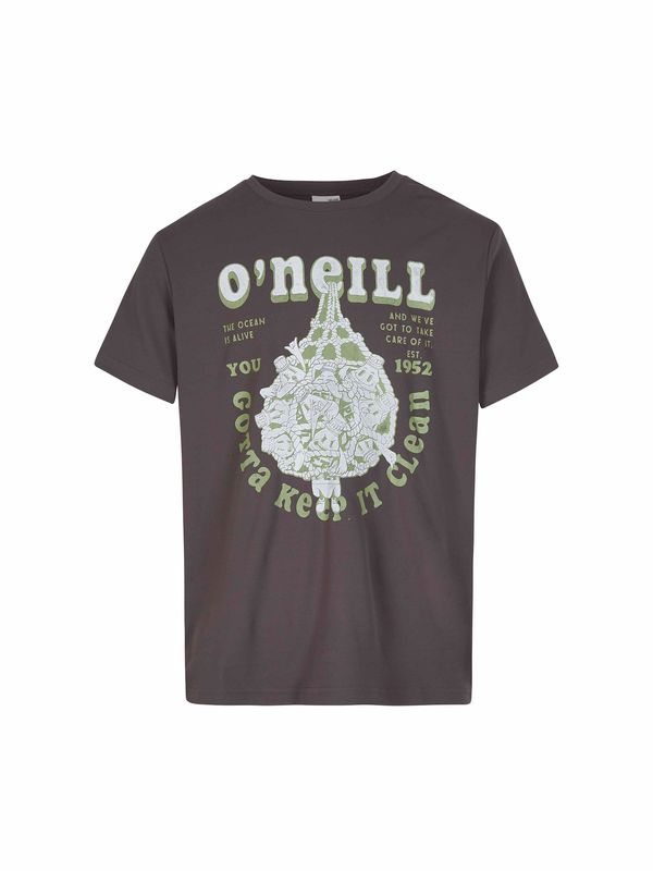 O'NEILL O'NEILL Majica  antracit siva / jabuka / prljavo bijela