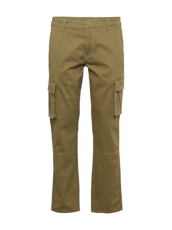 Only & Sons Only & Sons Cargo hlače 'CAM STAGE'  maslinasta
