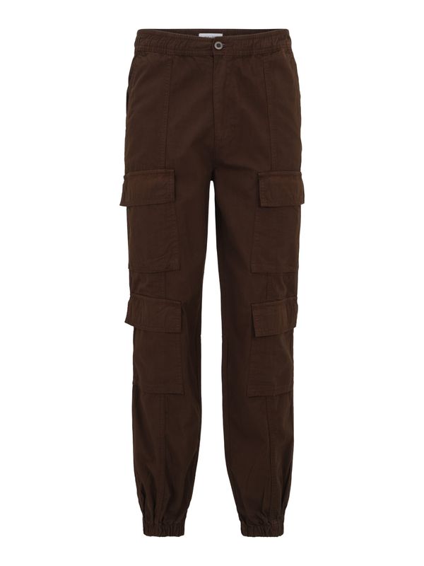Only & Sons Only & Sons Cargo hlače 'ONSMAGNUS'  tamno smeđa