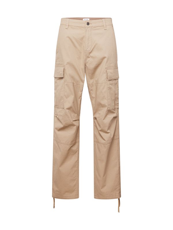 Only & Sons Only & Sons Cargo hlače 'RAY'  bež