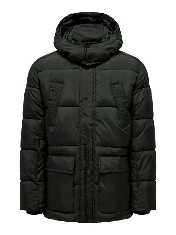 Only & Sons Only & Sons Prijelazna jakna 'ARWIN'  tamno zelena