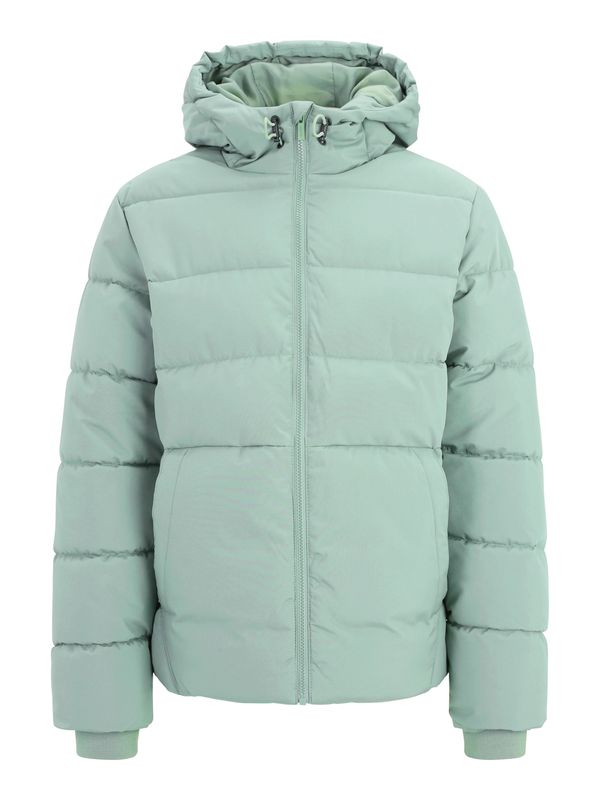 Only & Sons Only & Sons Prijelazna jakna 'ONSMARVIN'  menta