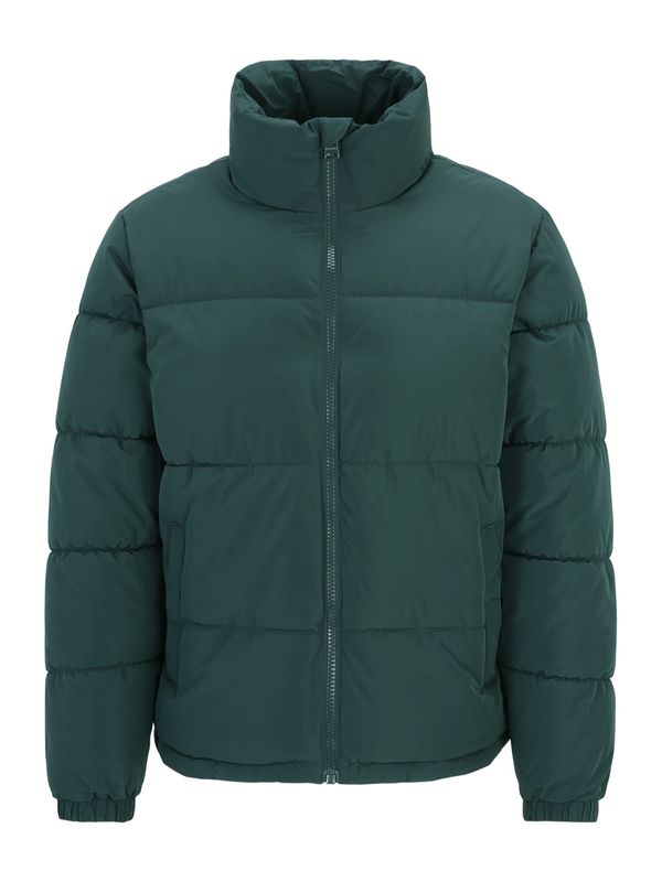 Only & Sons Only & Sons Prijelazna jakna 'ONSMELVIN '  tamno zelena