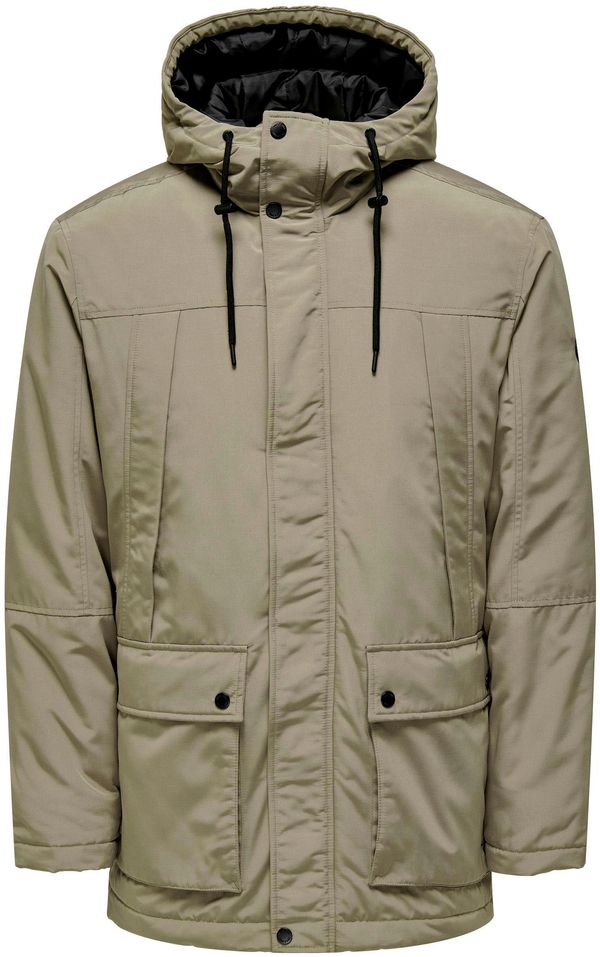 Only & Sons Only & Sons Zimska parka 'ONSJAYDEN'  bež siva