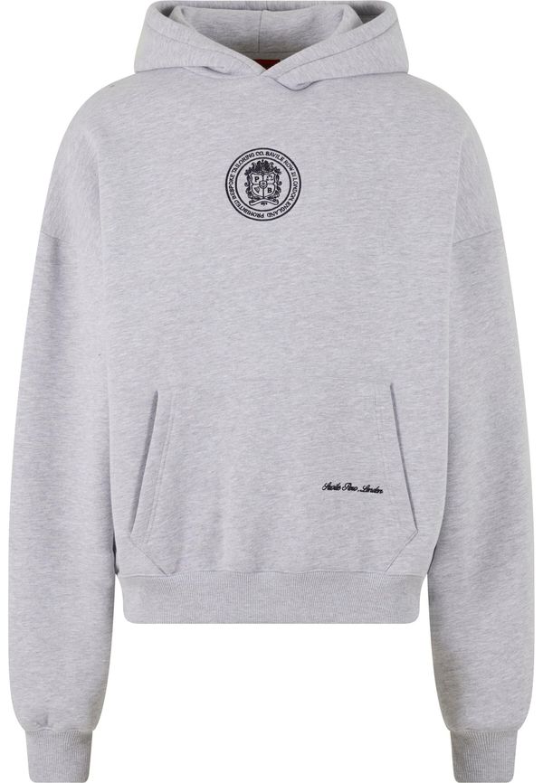 Prohibited Prohibited Sweater majica 'Camden'  siva / crna