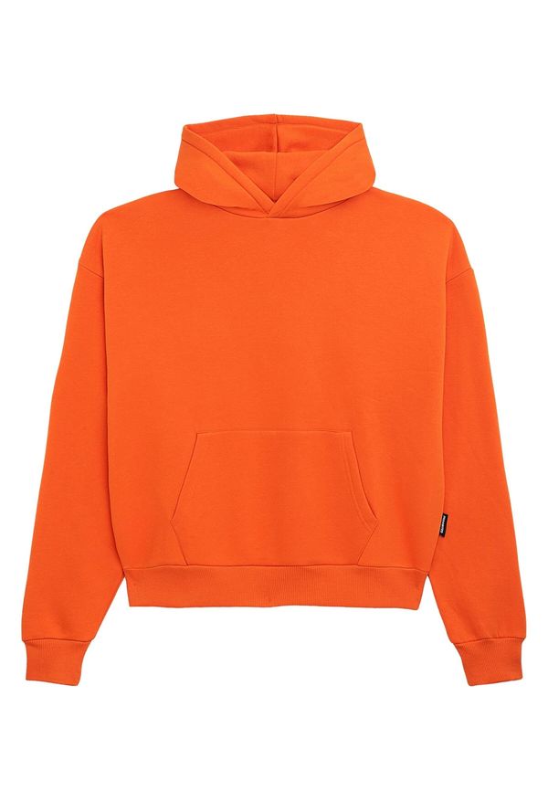 Prohibited Prohibited Sweater majica  tamno narančasta