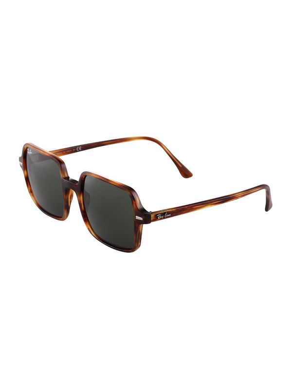 Ray-Ban Ray-Ban Sunčane naočale '0RB1973'  smeđa