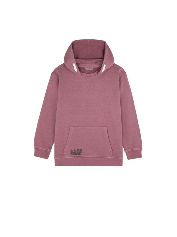 Scalpers Scalpers Sweater majica  miks boja / burgund
