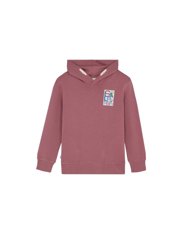Scalpers Scalpers Sweater majica  miks boja / crvena ljubičasta