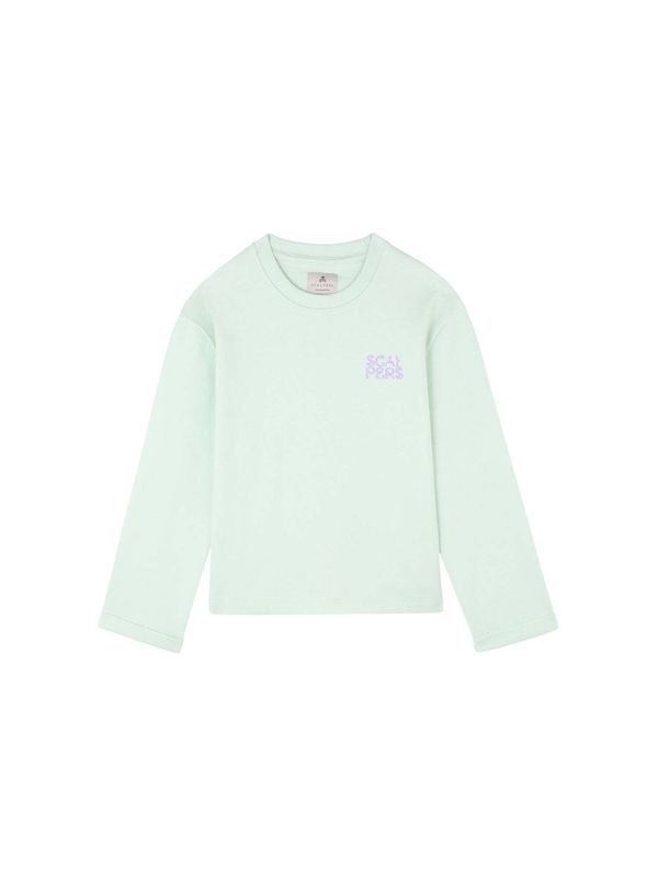 Scalpers Scalpers Sweater majica 'Plans'  menta / orhideja bijela