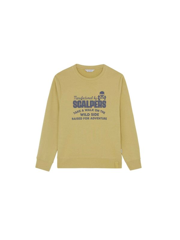 Scalpers Scalpers Sweater majica  plava / zelena