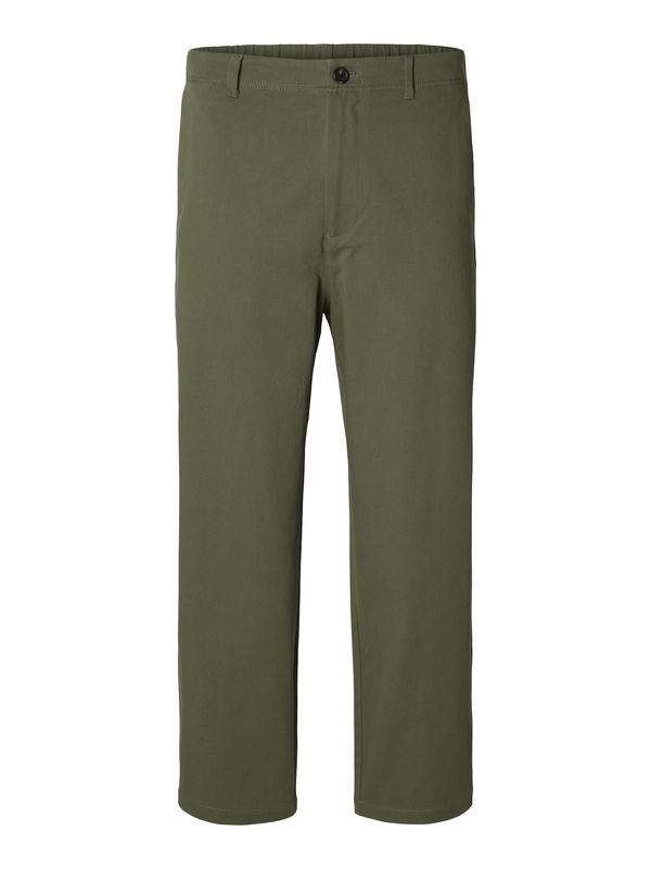 SELECTED HOMME SELECTED HOMME Hlače 'SLHDennis'  zelena