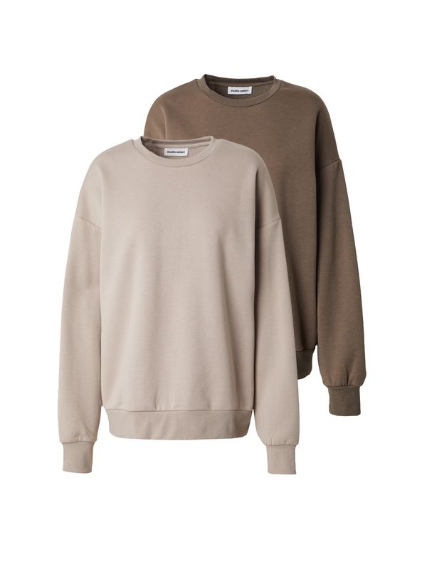 STUDIO SELECT STUDIO SELECT Sweater majica 'Lotta'  sivkasto bež / smeđa