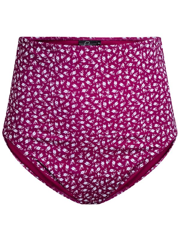 Swim by Zizzi Swim by Zizzi Bikini donji dio 'KATRIN'  miks boja / boja vina
