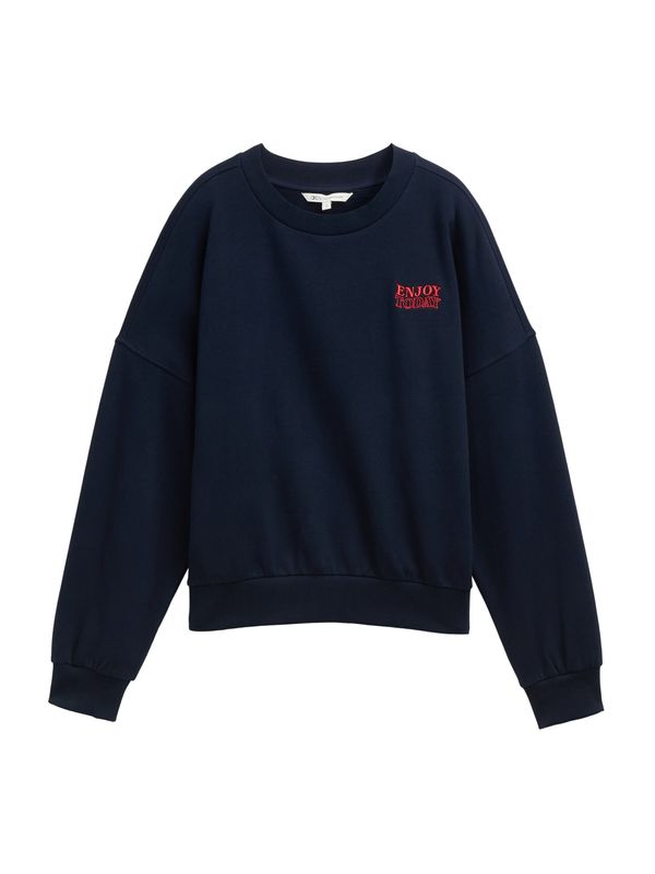 TOM TAILOR DENIM TOM TAILOR DENIM Sweater majica  mornarsko plava / crvena
