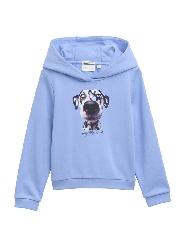 TOM TAILOR TOM TAILOR Sweater majica  nebesko plava / roza / crna / bijela