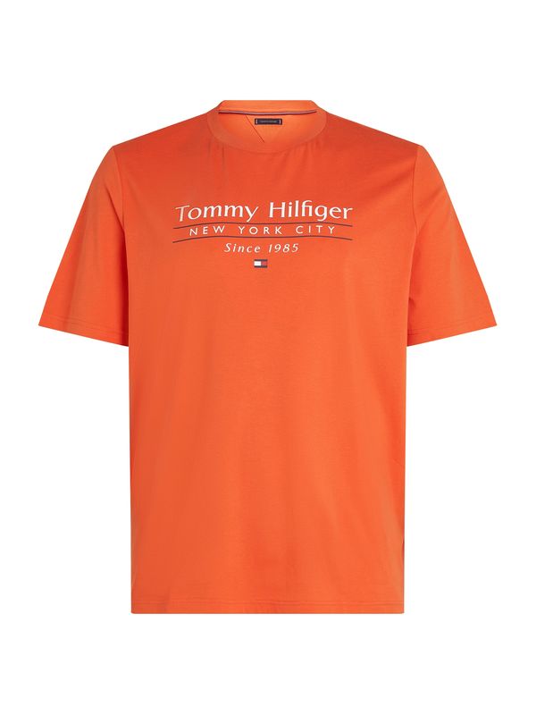 Tommy Hilfiger Big & Tall Tommy Hilfiger Big & Tall Majica  mornarsko plava / tamno narančasta / rubin crvena / bijela