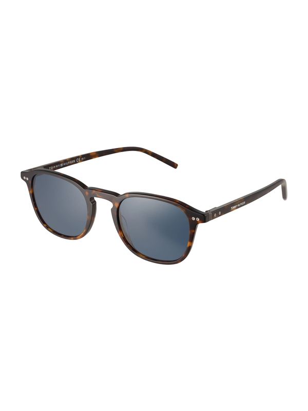 TOMMY HILFIGER TOMMY HILFIGER Sunčane naočale 'TH 1939/S'  crna