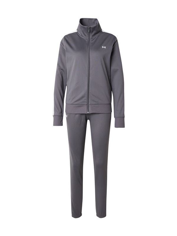 UNDER ARMOUR UNDER ARMOUR Odjeća za vježbanje  bazalt siva / bijela
