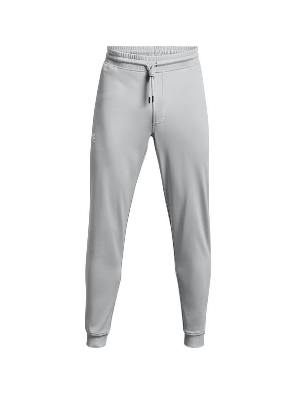 UNDER ARMOUR UNDER ARMOUR Sportske hlače  siva / bijela