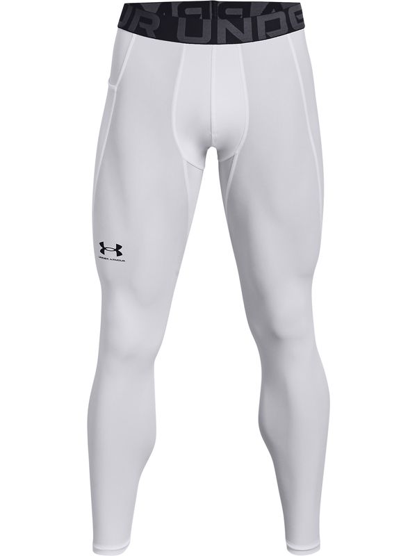 UNDER ARMOUR UNDER ARMOUR Sportske hlače  siva / crna / bijela