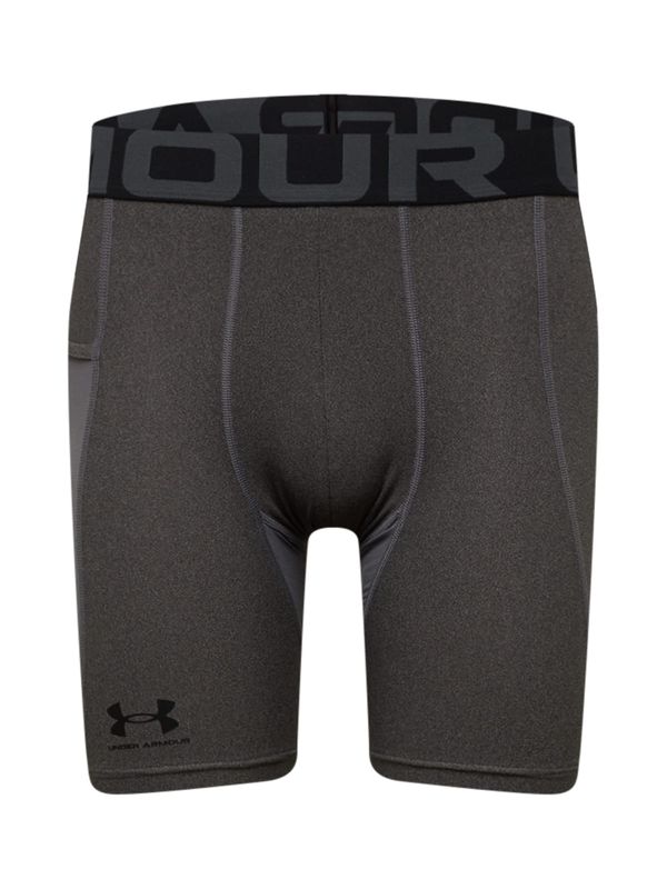 UNDER ARMOUR UNDER ARMOUR Sportske hlače  tamo siva / crna