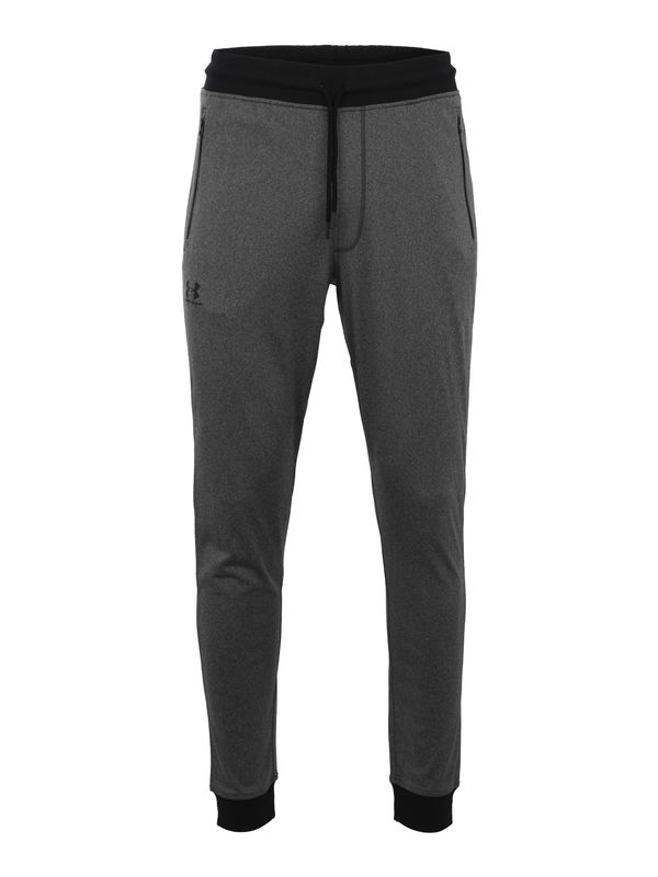 UNDER ARMOUR UNDER ARMOUR Sportske hlače  tamo siva / crna