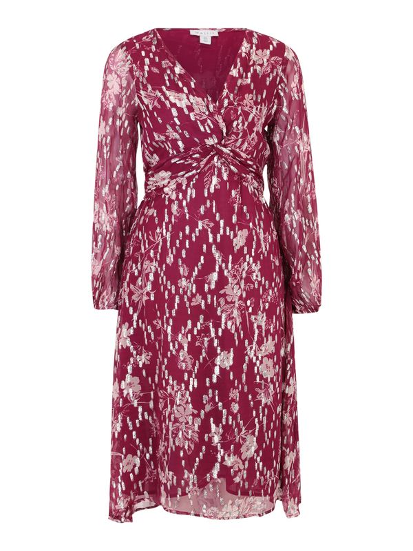Wallis Petite Wallis Petite Haljina  roza / bordo / srebro
