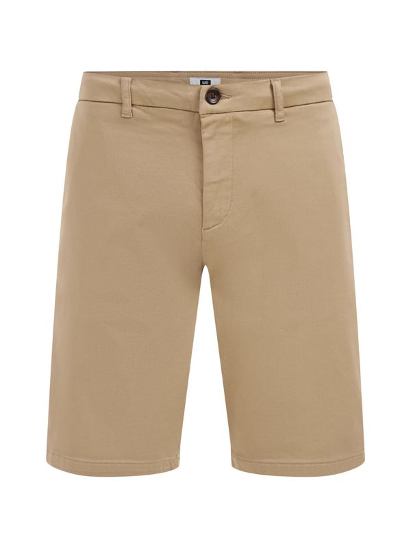 WE Fashion WE Fashion Chino hlače  tamno bež