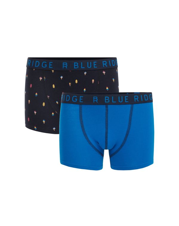 WE Fashion WE Fashion Gaće  plava / miks boja