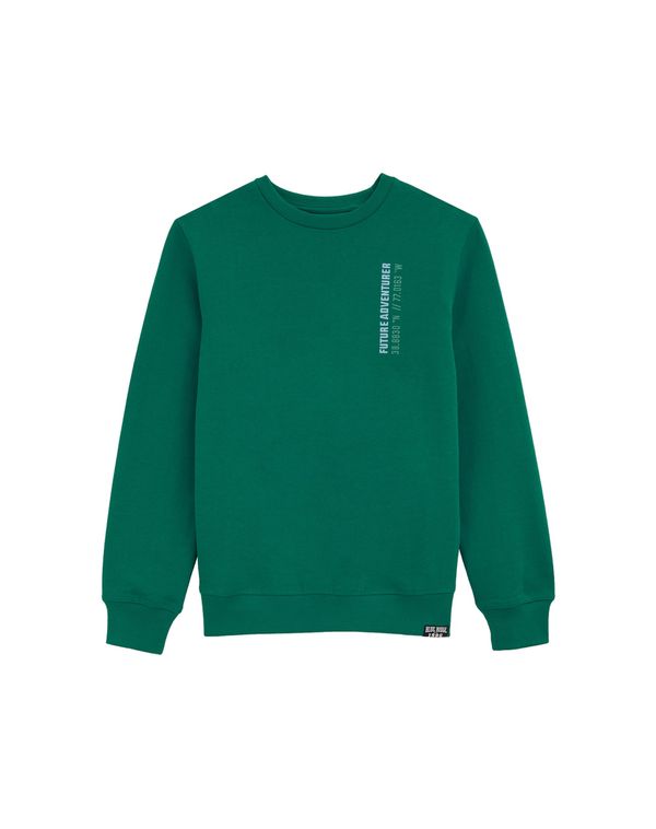 WE Fashion WE Fashion Sweater majica  ecru/prljavo bijela / golublje plava / moka smeđa / smaragdno zelena