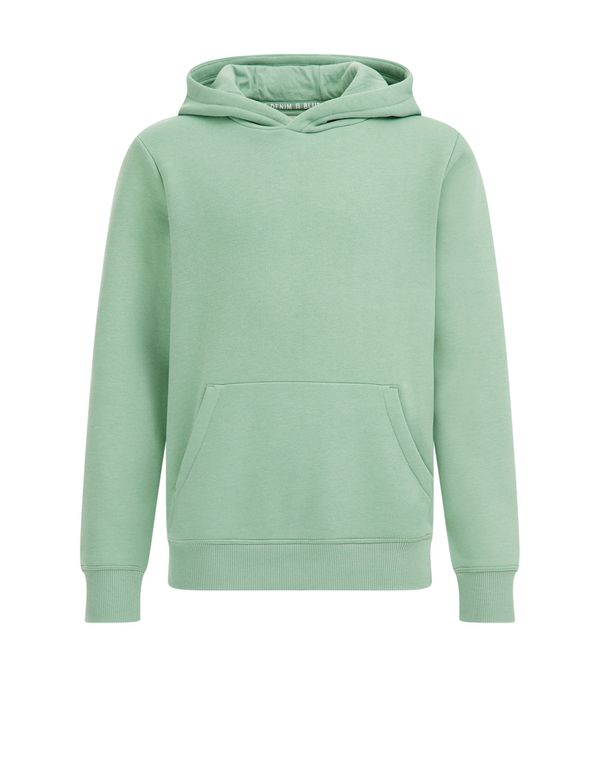WE Fashion WE Fashion Sweater majica  menta
