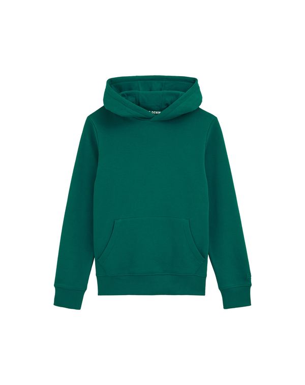 WE Fashion WE Fashion Sweater majica  smaragdno zelena