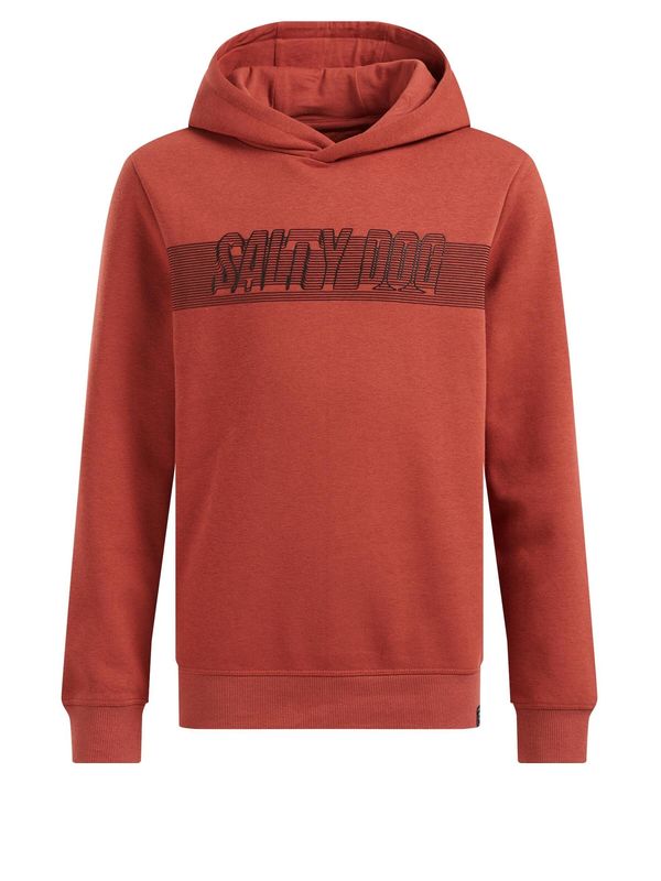 WE Fashion WE Fashion Sweater majica  svijetlocrvena / crna