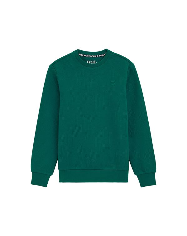 WE Fashion WE Fashion Sweater majica  zelena