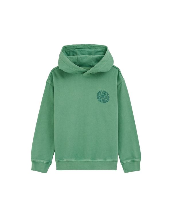 WE Fashion WE Fashion Sweater majica  zelena / svijetlozelena