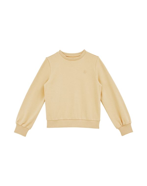 WE Fashion WE Fashion Sweater majica  žuta