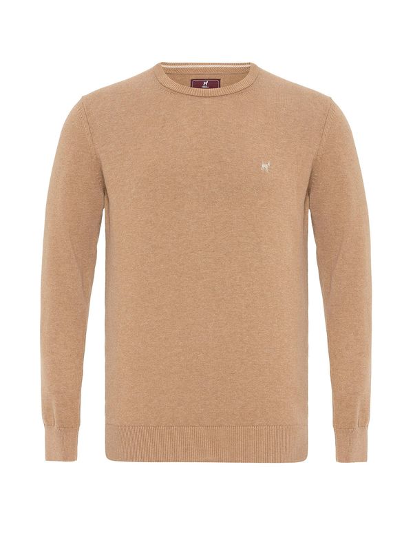 Williot Williot Pulover  boja devine dlake (camel)