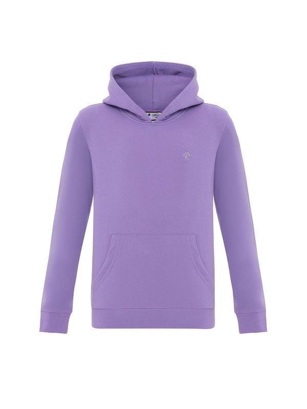 Williot Williot Sweater majica 'Allegra'  lila