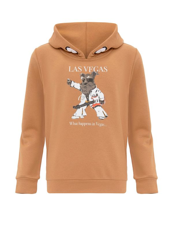 Williot Williot Sweater majica  karamela / sepija / bijela
