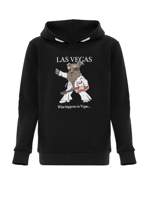 Williot Williot Sweater majica  miks boja / crna